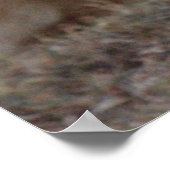 Löwenposter Poster (Ecke)