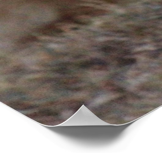 Löwenposter Poster (Ecke)