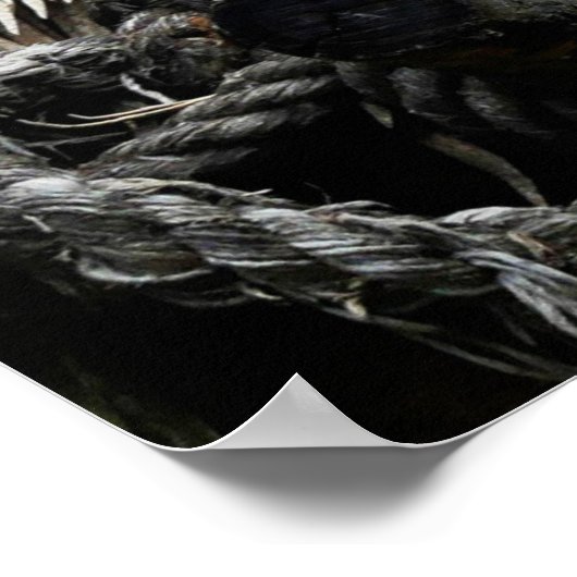 Löwenposter Poster (Ecke)