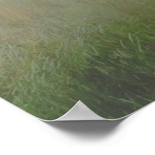 Löwenposter Poster (Ecke)