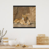 Löwenposter Poster (Küche)