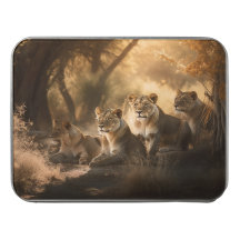 Löwenpride im Shade-Acrylic