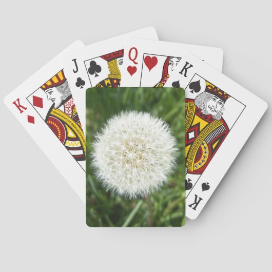 Löwenpuff Spielkarten (Rückseite)