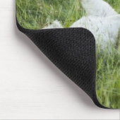 Löwenrollen im großen Gras, Afrika Mousepad (Ecke)