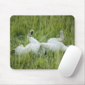 Löwenrollen im großen Gras, Afrika Mousepad (Mit Mouse)