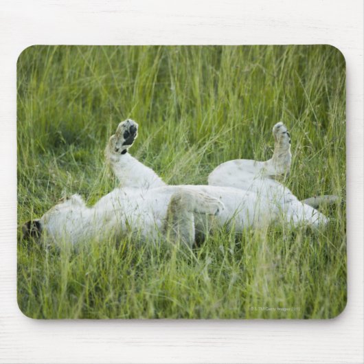 Löwenrollen im großen Gras, Afrika Mousepad (Vorne)