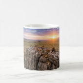 Löwenrudel ruht auf einer Rock-Kaffeetasse Kaffeetasse (Mittel)