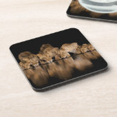 Löwenrudel trinkt nachts am Wasserloch Getränkeuntersetzer (Linke Seite)