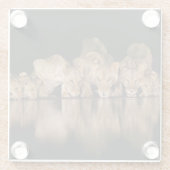 Löwenrudel trinkt nachts am Wasserloch Glasuntersetzer (Rückseite)