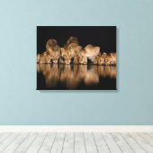 Löwenrudel trinkt nachts am Wasserloch Leinwanddruck (Insitu (Holzboden))