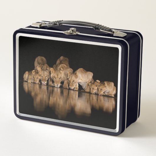 Löwenrudel trinkt nachts am Wasserloch Metall Brotdose (Vorderseite)