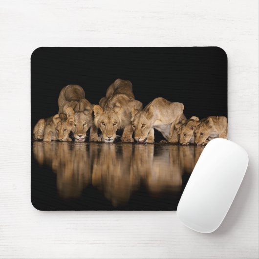 Löwenrudel trinkt nachts am Wasserloch Mousepad (Mit Mouse)