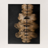 Löwenrudel trinkt nachts am Wasserloch Puzzle (Vertikal)