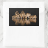 Löwenrudel trinkt nachts am Wasserloch Rechteckiger Aufkleber (Tasche)