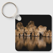 Löwenrudel trinkt nachts am Wasserloch Schlüsselanhänger (Vorderseite)