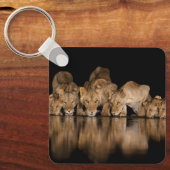 Löwenrudel trinkt nachts am Wasserloch Schlüsselanhänger (Vorderseite)