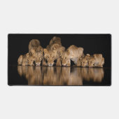 Löwenrudel trinkt nachts am Wasserloch Schreibtischunterlage (Vorderseite)