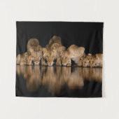 Löwenrudel trinkt nachts am Wasserloch Wandteppich (Vorderseite (Horizontal))