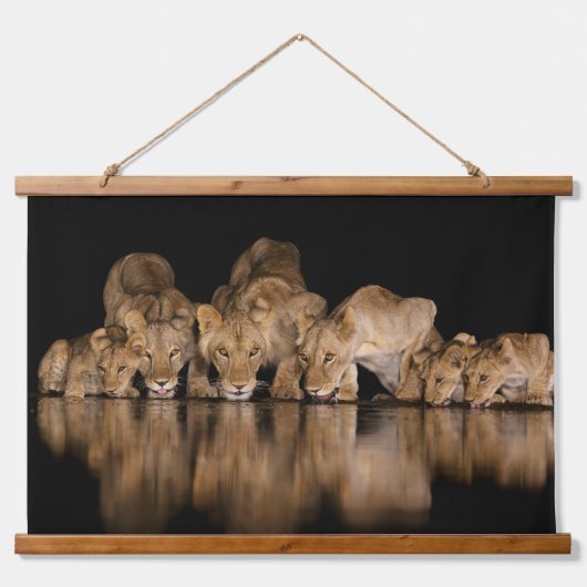 Löwenrudel trinkt nachts am Wasserloch Wandteppich Mit Holzrahmen (Vorne)