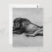 Löwenruhe von Rembrandt Postkarte (Vorne/Hinten)