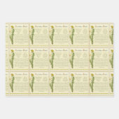 Löwensalat Geschenkpapier Set (Vorderseite)