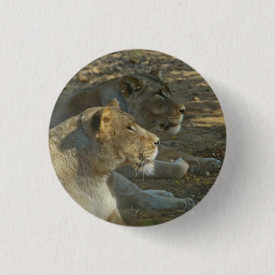 Löwenschaltfläche Button