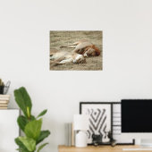 Löwenschlafposter Poster (Heimbüro)