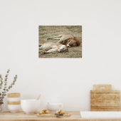 Löwenschlafposter Poster (Küche)