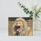 Löwenschwanz Postkarte (Stehend Vorderseite)