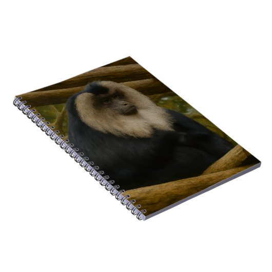 Löwenschwanzmakaque im Schutzgebiet der Wälder Notizblock (Rechte Seite)