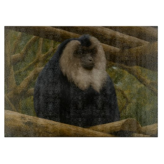 Löwenschwanzmakaque im Schutzgebiet der Wälder Schneidebrett (Vorderseite)