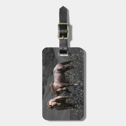 Löwenspinne Gepäckanhänger (Vorderseite vertikal)