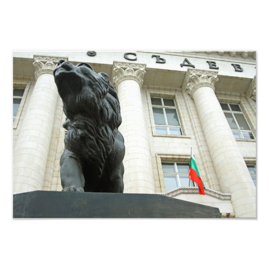 Löwenstatue, Sofia, Bulgarien Fotodruck (Vorne)