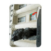 Löwenstatue, Sofia, Bulgarien Magnet (Vertikal)