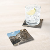 Löwenstatue vor San Francesco di Paola Rechteckiger Pappuntersetzer (Vor Ort)