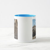 Löwenstatue vor San Francesco di Paola Tasse (Zentrum)