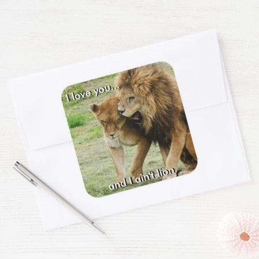 Löwensticker Quadratischer Aufkleber (Umschlag)