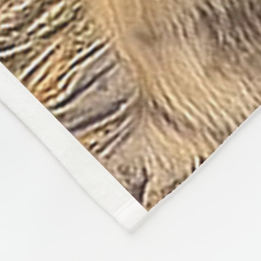 Löwenvlies Fleecedecke (Ecke)