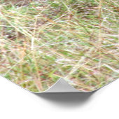 Löwenwarnung Poster (Ecke)