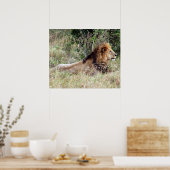 Löwenwarnung Poster (Küche)