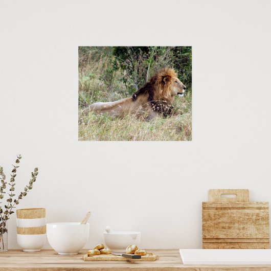 Löwenwarnung Poster (Küche)