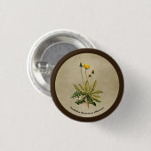 Löwenzahn auf altem Papier Button (Vorne & Hinten)