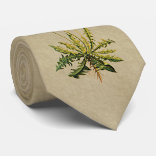 Löwenzahn auf altem Papier Krawatte