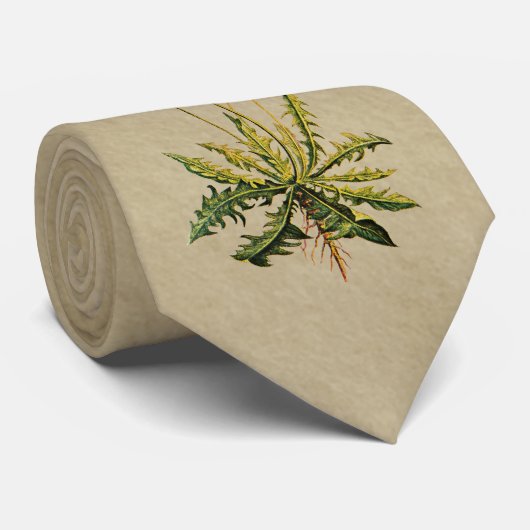 Löwenzahn auf altem Papier Krawatte (Gerollt)