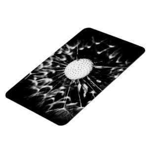 Löwenzahn blacq magnet