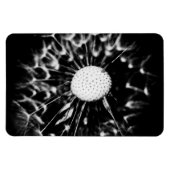 Löwenzahn blacq magnet (Horizontal)
