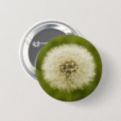 Löwenzahn Button (Vorne & Hinten)