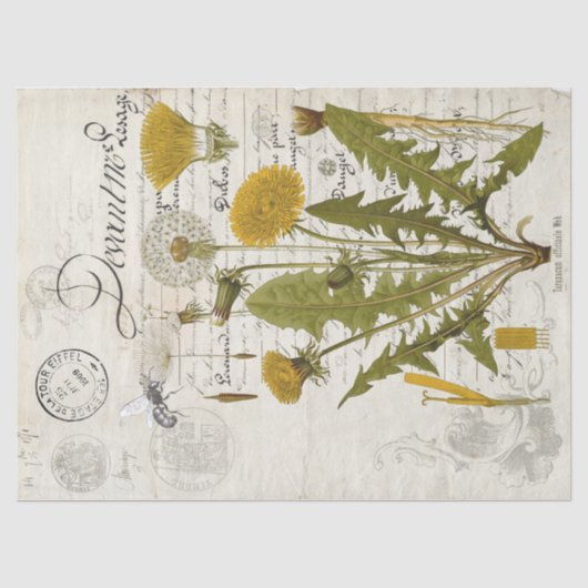 Löwenzahn-Decoupage-Tissue-Blatt Seidenpapier (Vorderseite)