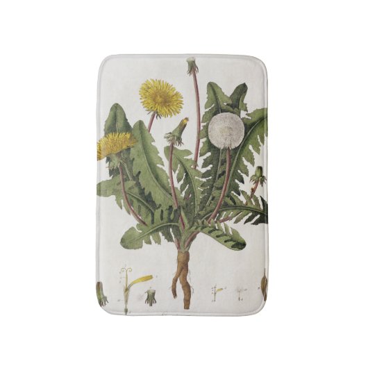 Löwenzahn (Farbstich) Badematte (Vorderseite Vertikal)