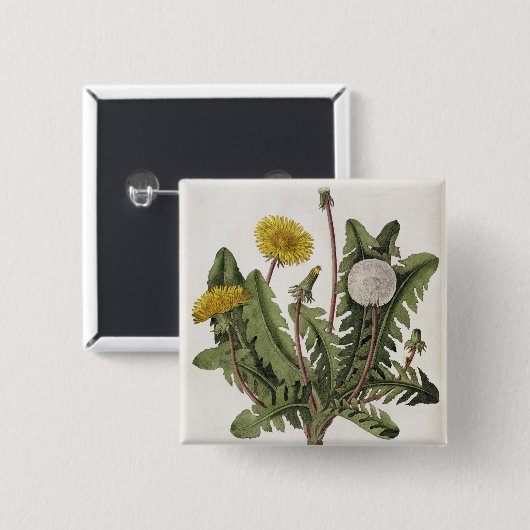 Löwenzahn (Farbstich) Button (Vorne & Hinten)